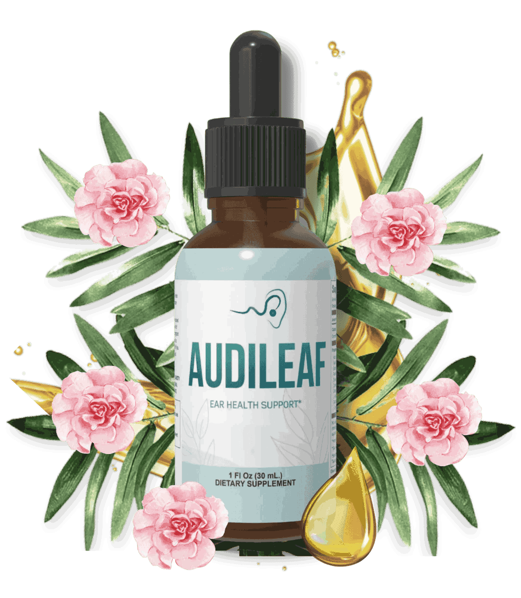  AudiLeaf